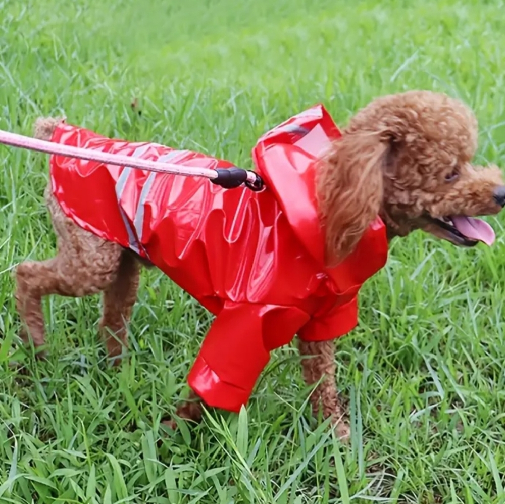 Reflective Pet Raincoat